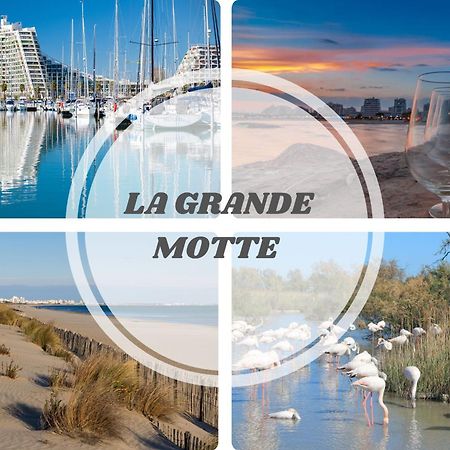 Le Dream Beach-Terrasse-Vue Mer D'Exception-Wifi-Parking - Top Pros Servicesconciergerie パラヴァ・レ・フロ エクステリア 写真